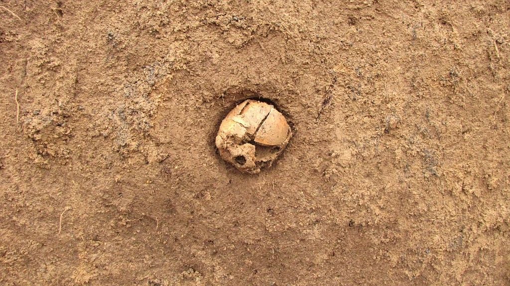 Archeologické nálezy při stavbě tunelu Blanka