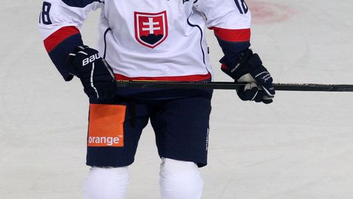 Miroslav Šatan se vrátil do reprezentace