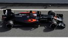 Testy F1 2016, Barcelona I: Jenson Button, McLaren