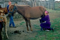 V Kazachstánu oficiálně zakázali tradiční nucené sňatky a únosy nevěst