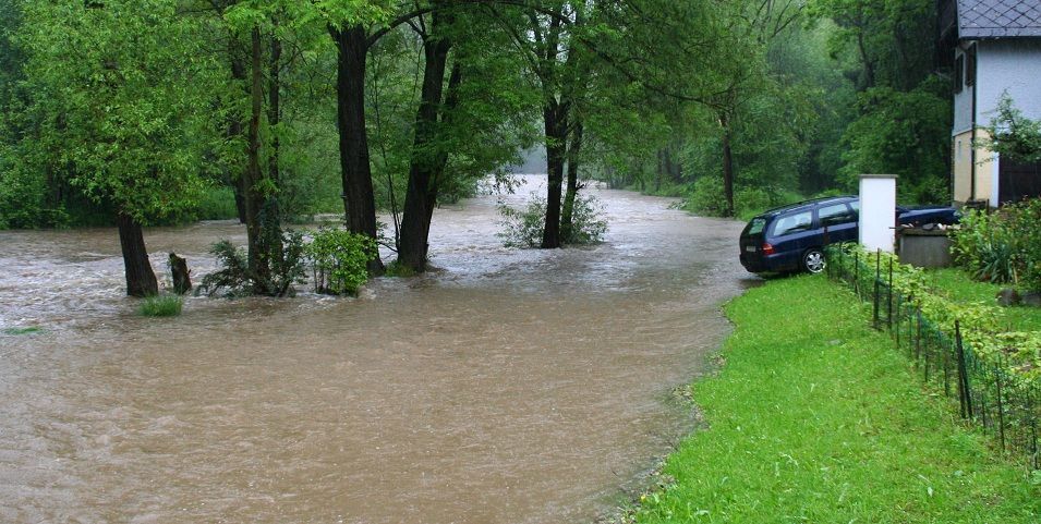 Stoupací voda - Radošovice