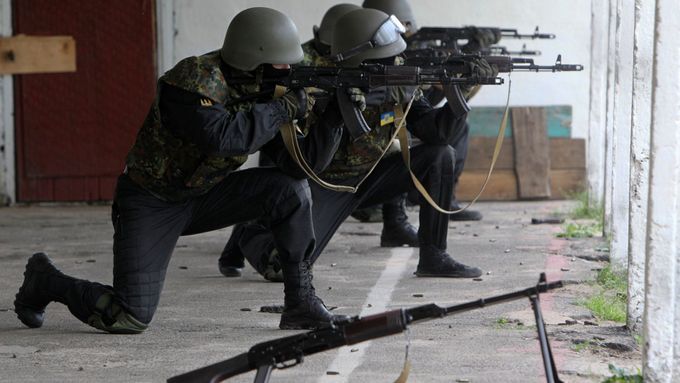 Takhle cvičí domobrana v Donbasu... U nás se už Národní domobrana také ozbrojuje.
