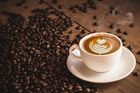 Oblíbený nápoj v ohrožení? Většina druhů kávovníku může vymizet kvůli změně klimatu