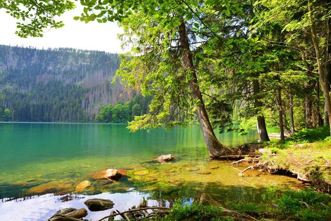 Černé jezero, Šumava