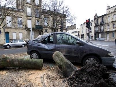 Vichřice: spadlý strom v Bordeaux