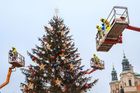 Foto: Jak se zdobil a tajně rozsvítil vánoční strom na Staroměstském náměstí