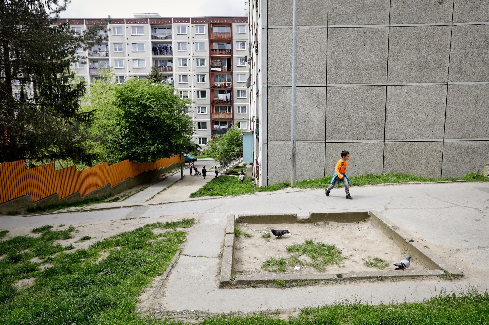 Top foto 2023: Rok očima fotografa Libora Fojtíka