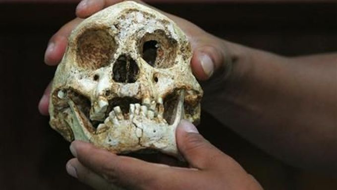 Nový druh rodu Homo, nebo postižený jedinec?