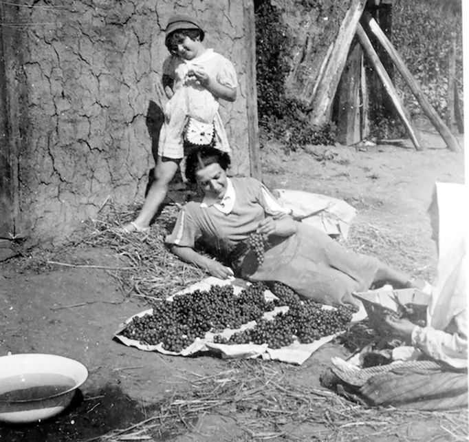 Sestry Ariana a Renia s maminkou Różou na vinici v oblasti Zaleszcyki, 1935 nebo 1936.