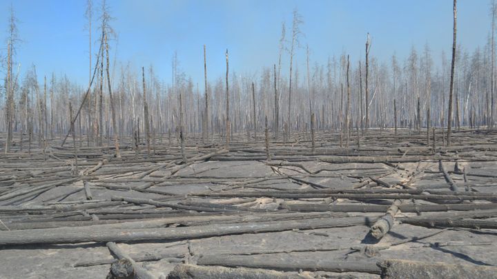 Hrozba pro obilnici Evropy. Válka ohrožuje ukrajinskou půdu, přírodu i vzácná zvířata; Zdroj foto: Reuters