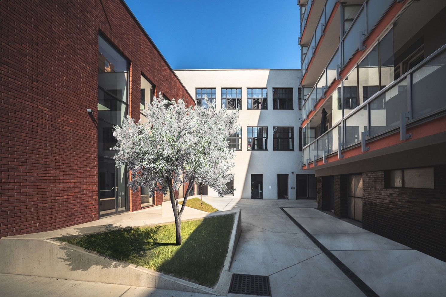 škola, sklady, Kloboučnická, rekonstrukce, Interiér roku