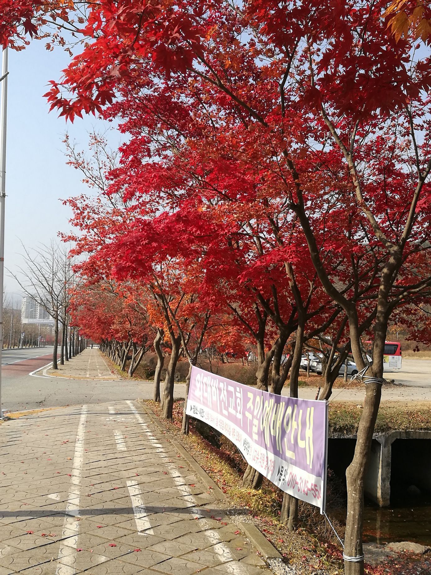 archiv sinoložky Dominiky Sakmárové