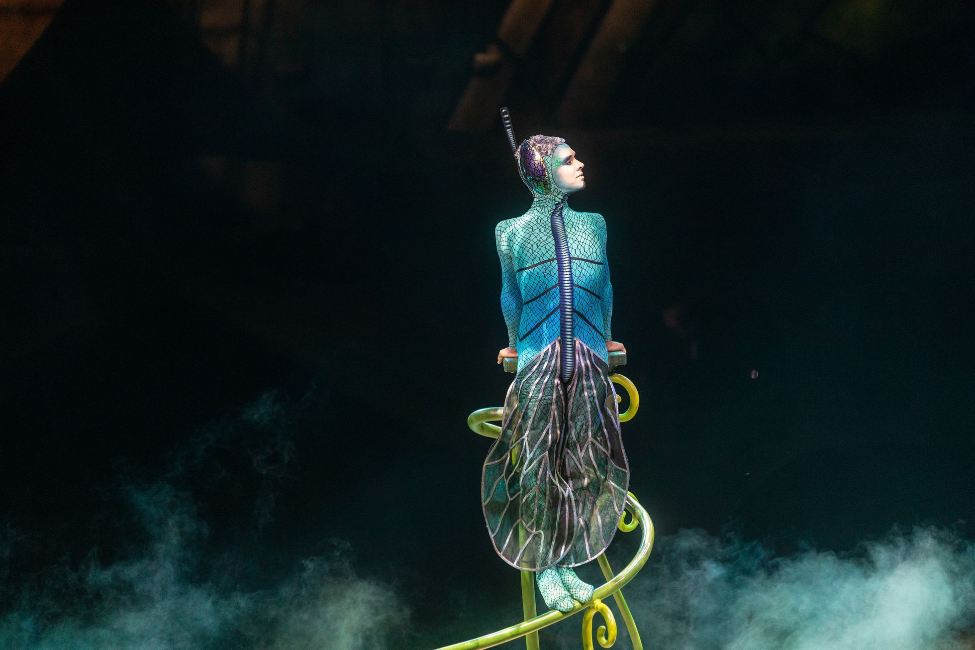 Cirque du Soleil: Ovo, 2023, O2 arena