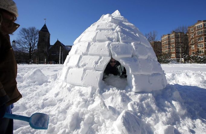 Eli Schleifer builds an igloo on the Cambridge Commons in Cambridge, Massachusetts February 10, 2013 following a winter blizzard which dumped up to 40 inches of snow with hurricane force winds, killing at least nine people and leaving hundreds of thousands without power. REUTERS/Brian Snyder (UNITED STATES - Tags: ENVIRONMENT) Published: Úno. 10, 2013, 6:44 odp.