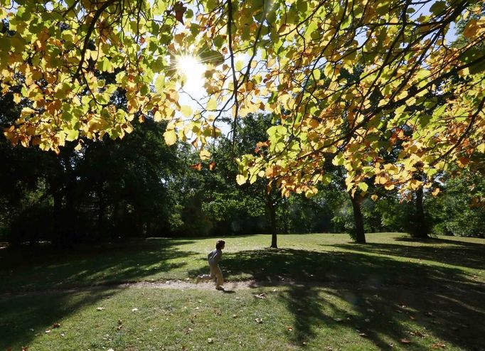 A child runs in the autumn sunshine in Battersea Park in London September 22, 2012. REUTERS/Olivia Harris (BRITAIN - Tags: SOCIETY ENVIRONMENT) Published: Zář. 22, 2012, 3:32 odp.