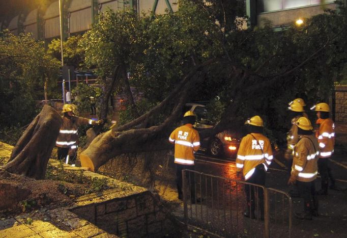 Firemen try to remove a broken tree which hit a car, in which the driver left safely, during a typhoon in Hong Kong's rural Taipo district July 23, 2012. Hong Kong was lashed by gales on Monday as typhoon Vicente moved towards the financial hub, sending office workers home early and prompting the local observatory to raise the No. 8 tropical cyclone warning signal, the third highest classification. REUTERS/Bobby Yip (CHINA - Tags: ENVIRONMENT) Published: Čec. 23, 2012, 12:46 odp.