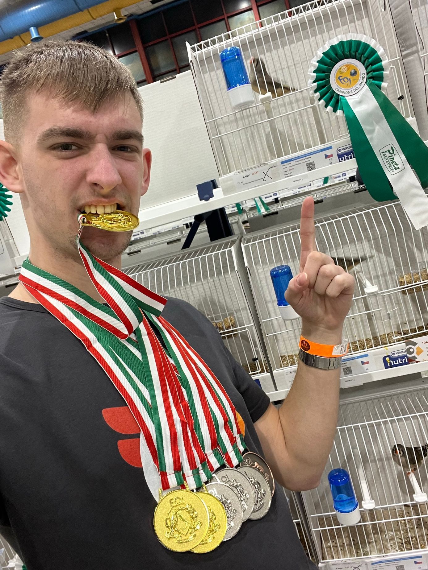 Tomáš Strachota, ptáci, ptactvo, papoušek, papoušci, chovatel, pták