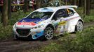 Barum rallye 2014: Kevin Abbring, Peugeot 208 T16