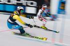 Švédky vyhrály závod družstev ve sjezdovém lyžování v Aspenu