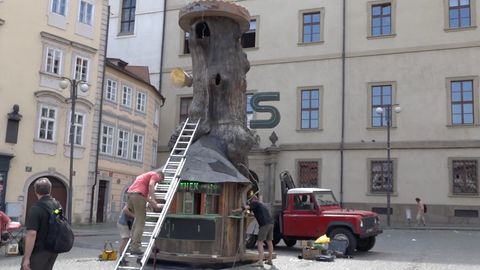 Šestimetrový Prastánek z 350 let starého dubu zažene Pražanům hlad i žízeň