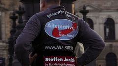 Afd kampaň foto Sasko