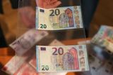 Většina padělků byla zfalšována v cizí měně (54 procent). Eurových padělků bylo celkem 1108, z toho 31 mincí. Dolarových padělků bylo 211.