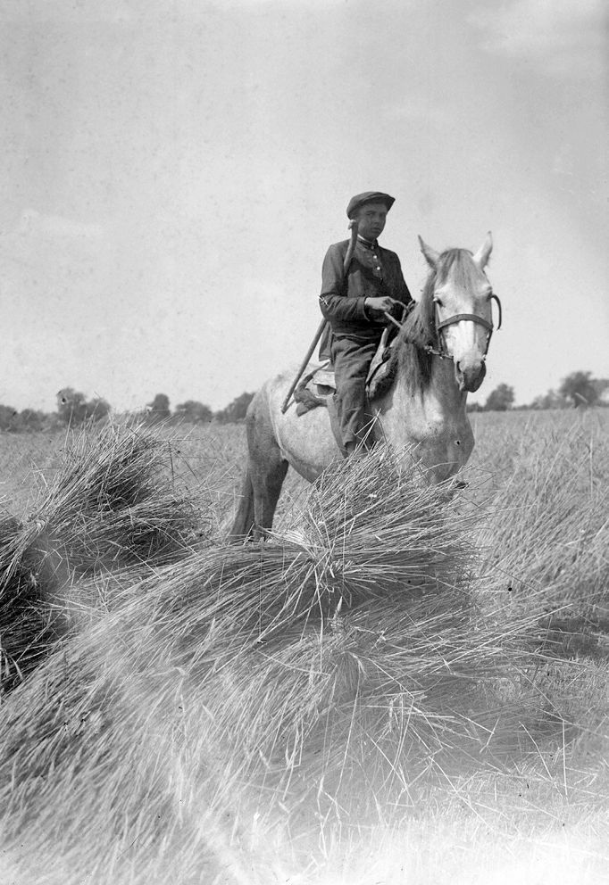 Stalinův Holodomor na Ukrajině v 30 letech 20. století stál životy 10 miliónů lidí.