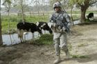 Irák trvá na odchodu Američanů do roku 2011
