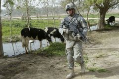 Irák trvá na odchodu Američanů do roku 2011