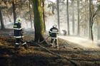 Požár lesa u Hodonína už zkropilo 20 milionů litrů vody