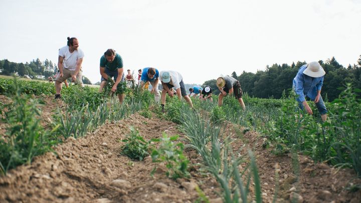 Získat selské know-how a vysokoškolský titul. V Česku otevřou první farmářskou školu