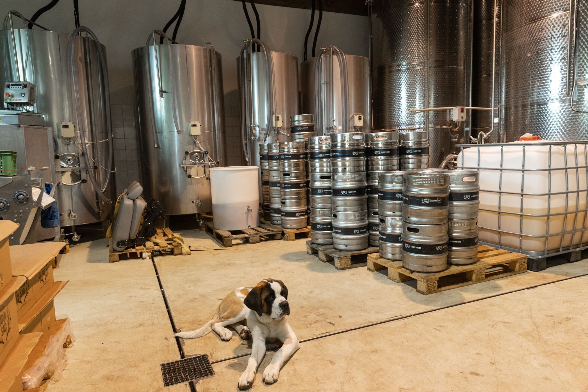 Abtovi, Tátův sad, příběh, firma, farma, cider, výroba