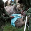 Fotogalerie / Jak se přesouvá nosorožec v Keňi / Reuters / 4
