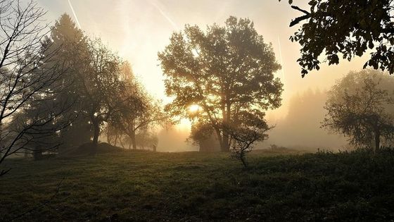 V osadě skončil život ze dne na den, zbyla jen kaple a studny. Nyní tady lze přespat