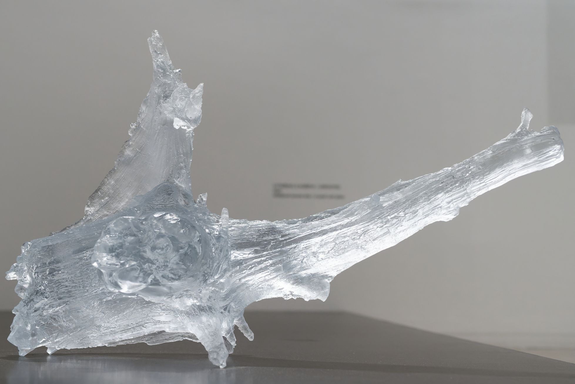 Rony Plesl: Stromy rostou z nebe, Museum Kampa, 2023