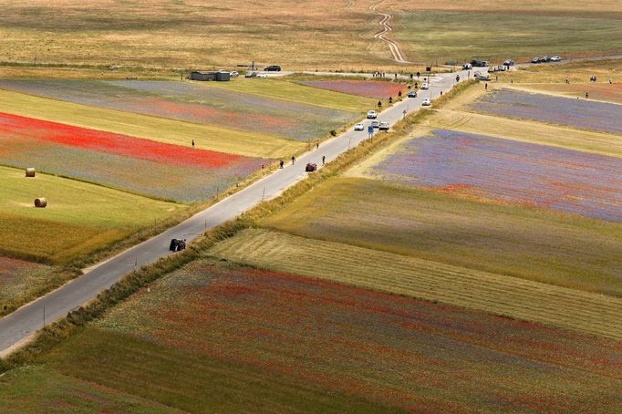 Rozkvetlá letní pole v okolí italské vesnice Castelluccio di Norcia