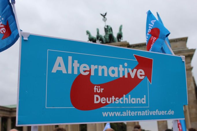 Poprvé v historii mají šanci na Bundestag i němečtí euroskeptici.