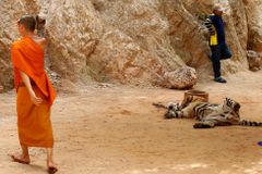 Oblíbená turistická atrakce končí. Tygří chrám opustí všech 137 šelem