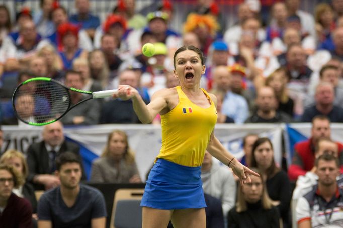 Plíšková vs. Halepová, Fed Cup, Česko vs. Rumunsko