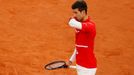 Finále French Open 2020 (Novak Djokovič)