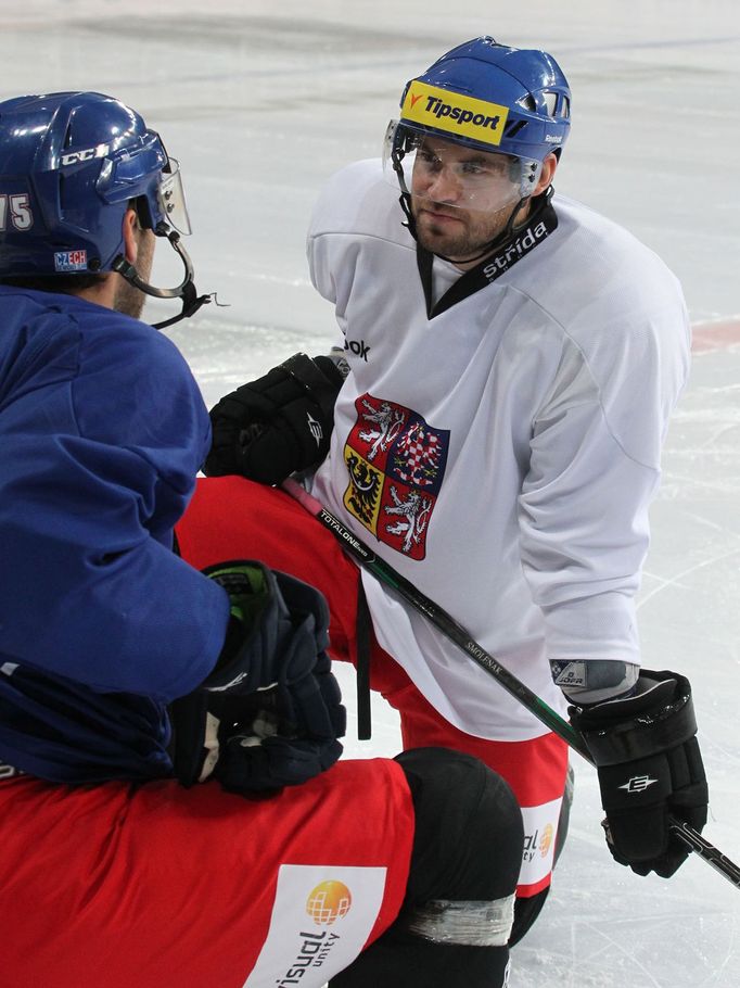 Česká hokejová reprezentace (Karjala Cup 2013): Smoleňák