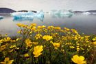 Za jediný den roztálo v Grónsku rekordní množství ledu. Změní mapu země
