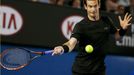 Australian Open 2015: Andy Murray při semifinále s Tomášem Berdychem