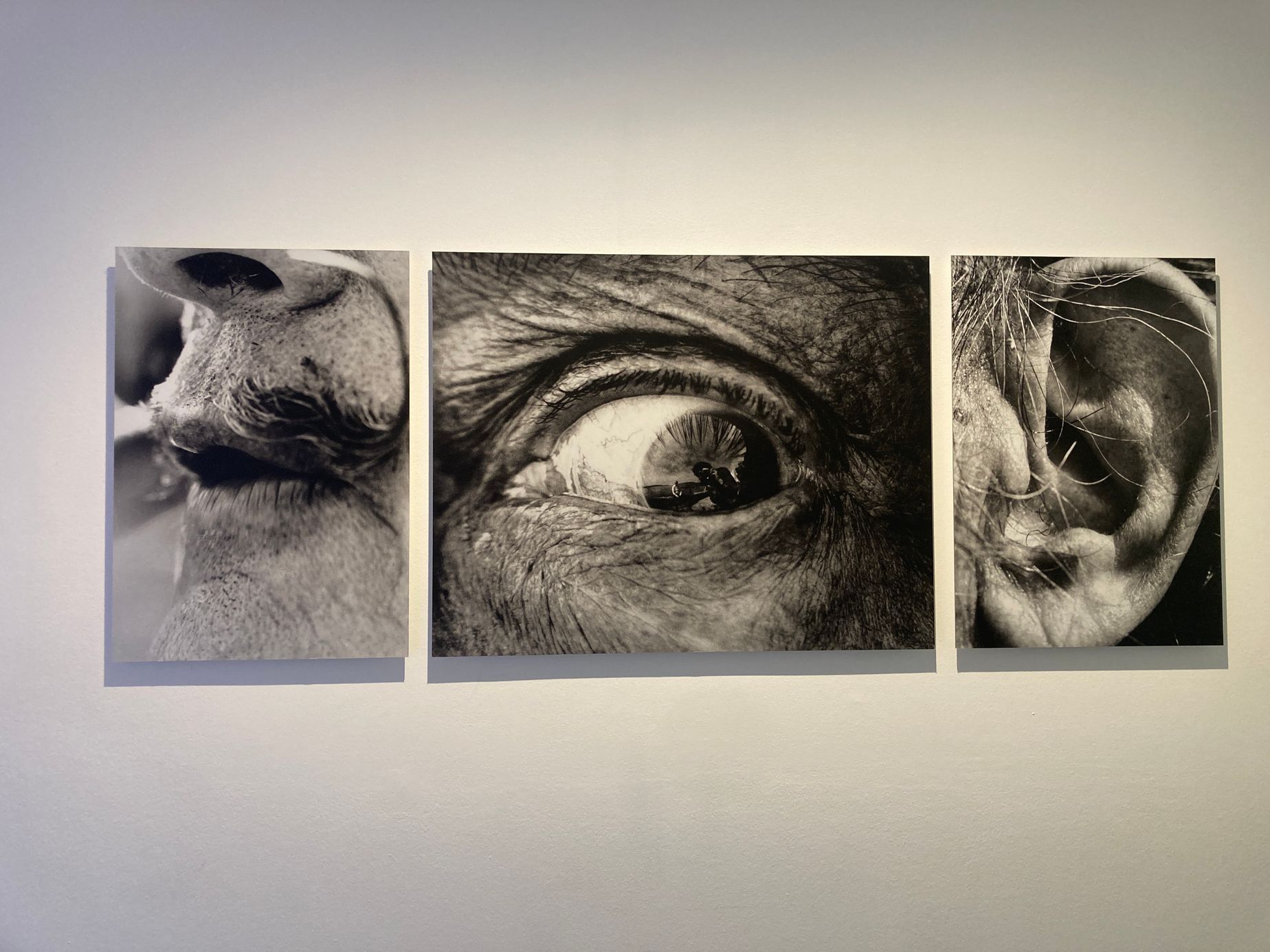 Salvador Dalí a jeho muzeum