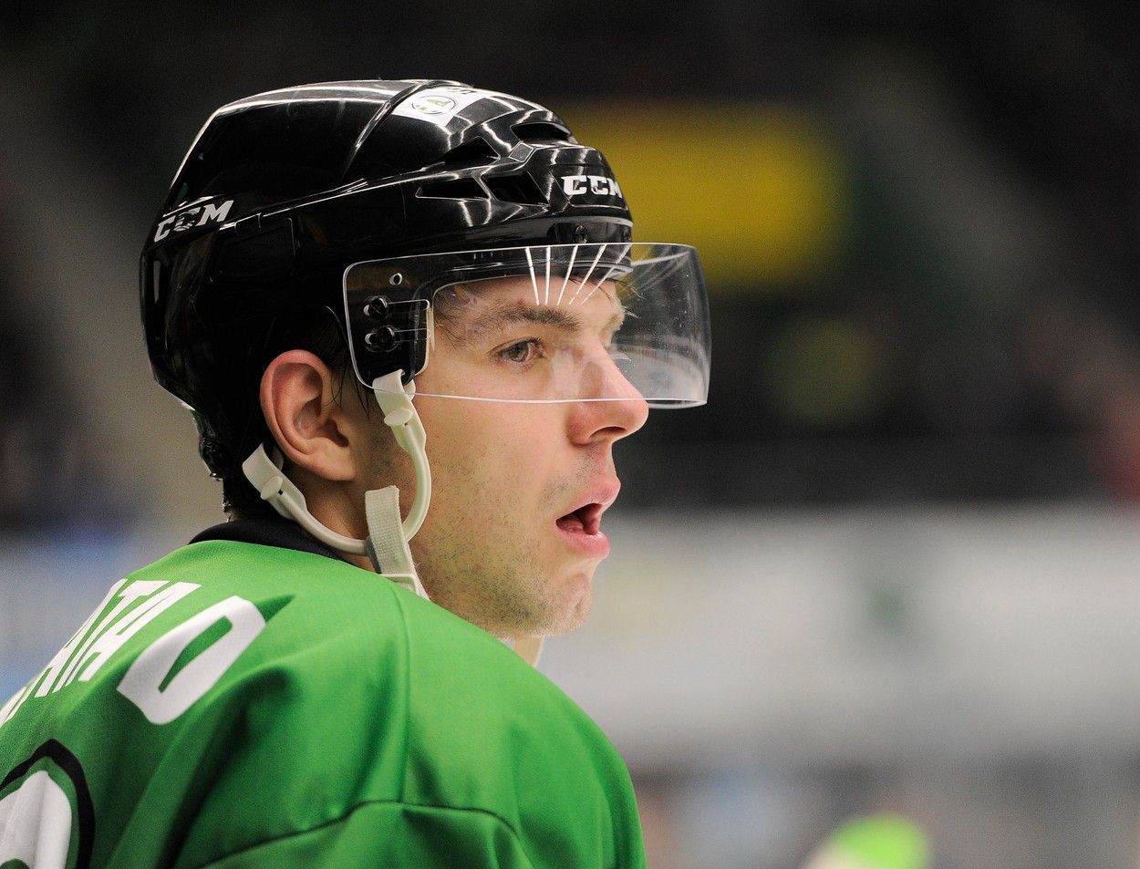 David Vrbata