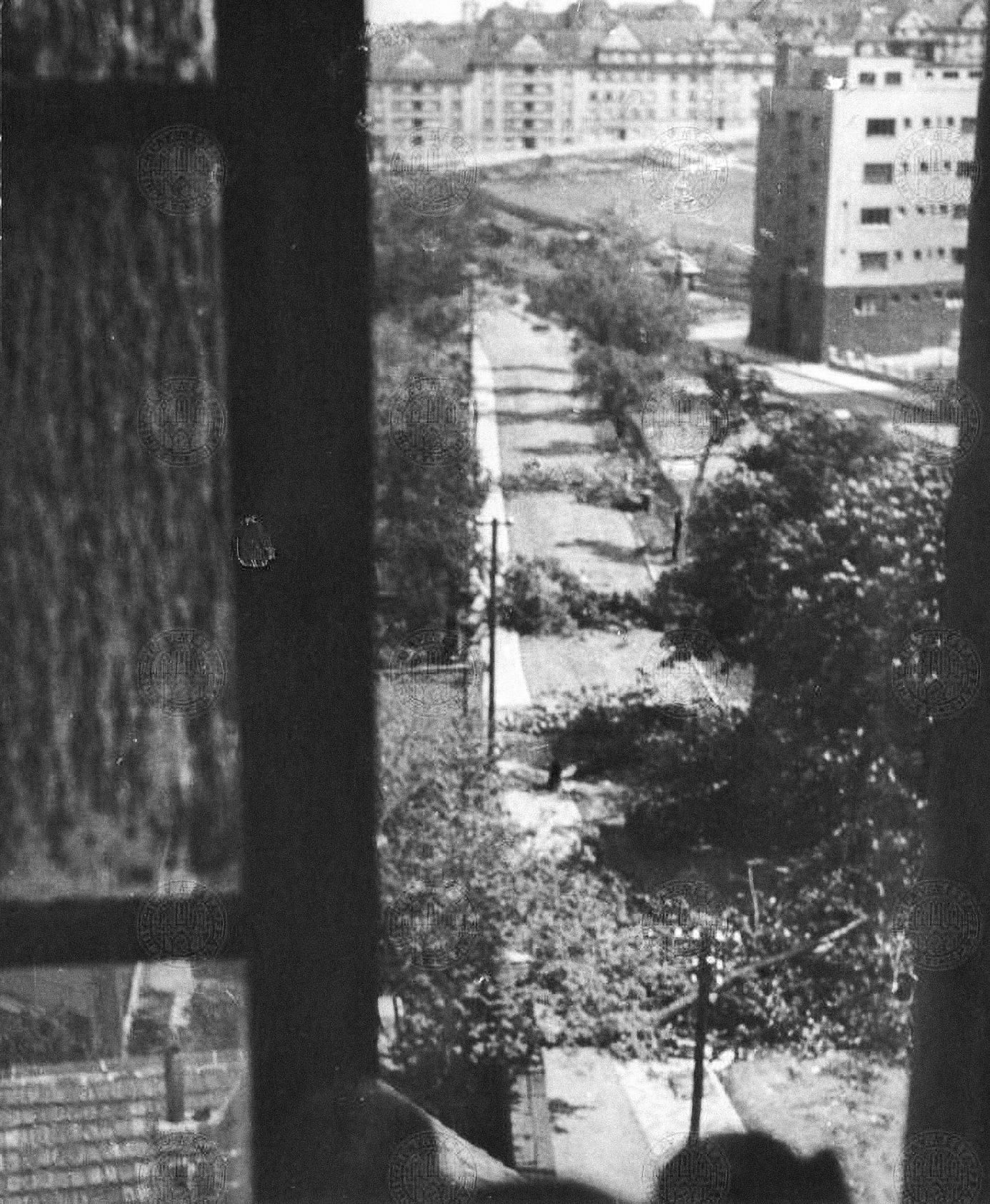 Pražské povstání, květen 1945, Praha, Domácí