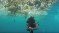 Moře plné odpadků na Bali.