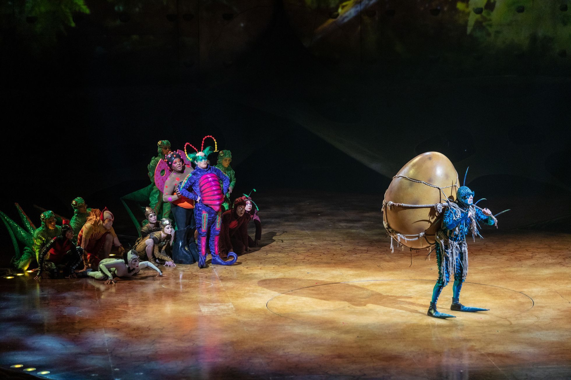 Cirque du Soleil: Ovo, 2023, O2 arena
