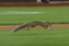 Zpomalili záběry a nevěřili vlastním očím. Tohle na Yankee stadionu ještě nezažili