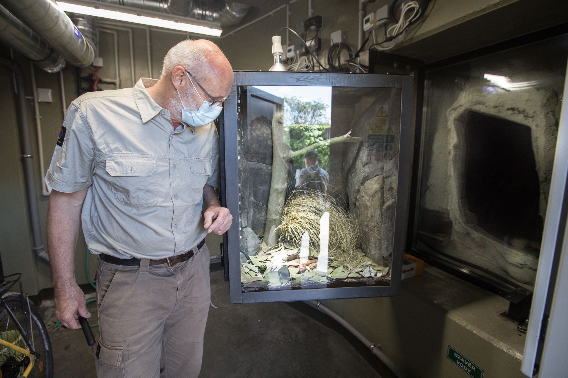 Tasmánští čerti v pražské zoo - nový pavilon Darwinův kráter